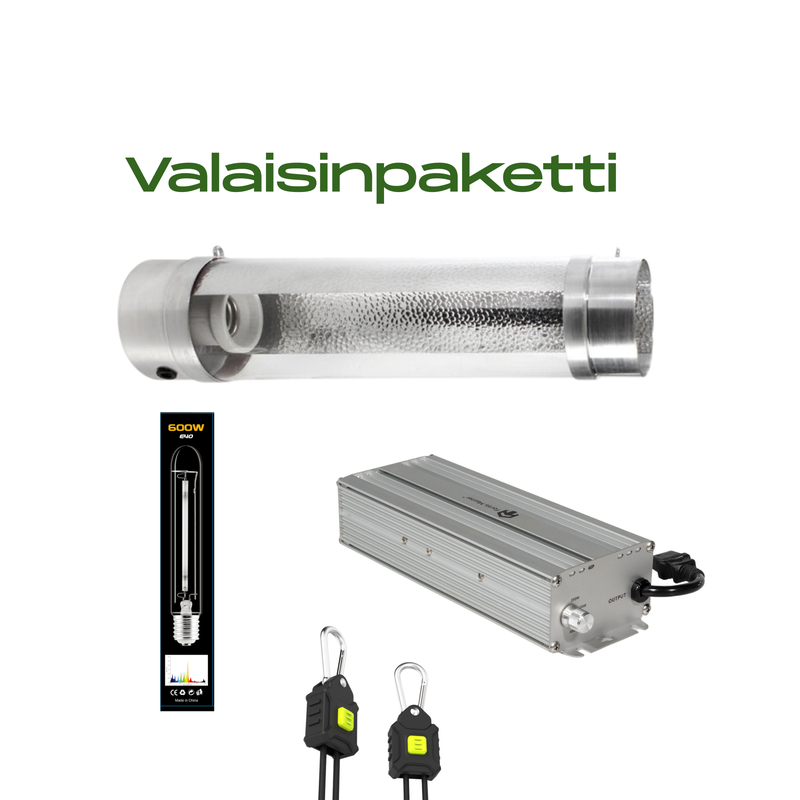 Fortis master elektroninen virtal&auml;hde 600w