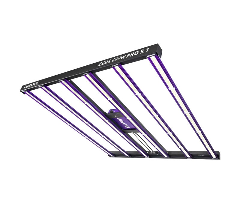 LUMATEK Zeus 600W PRO 3.1