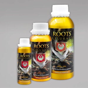 House & Garden Roots Excelurator Gold